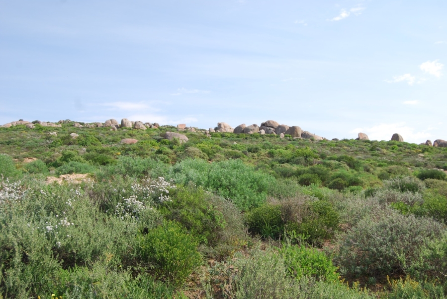 0 Bedroom Property for Sale in St Helena Views Western Cape